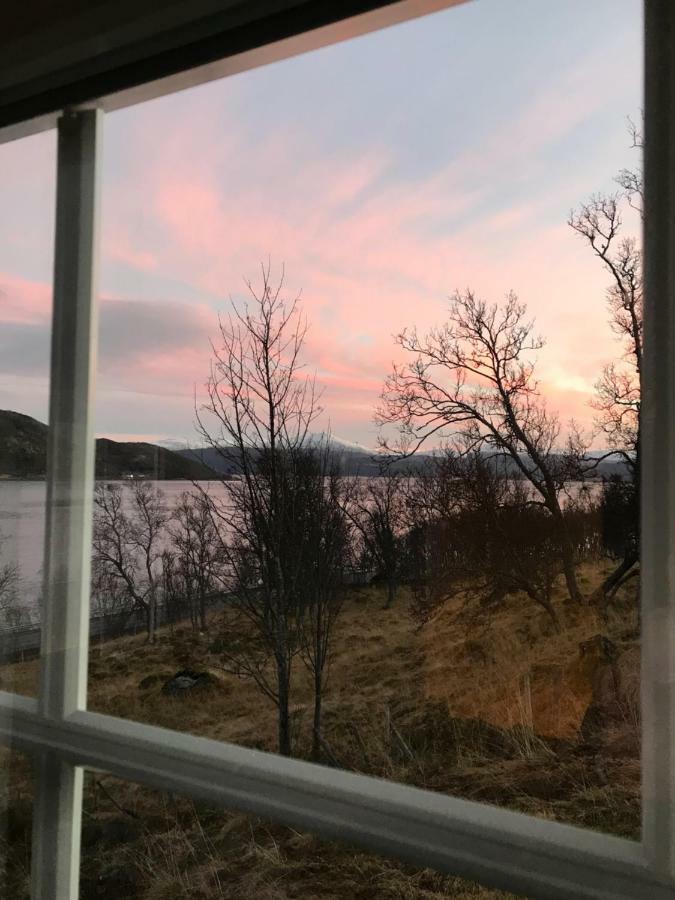 Kvaloya Lodge Futrikelv Exteriér fotografie
