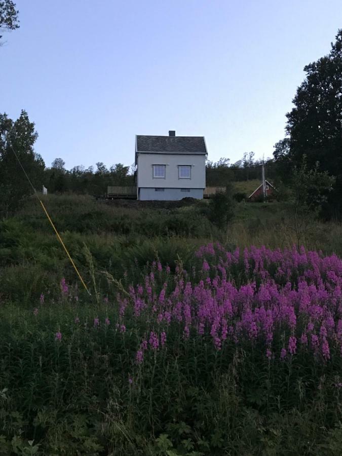 Kvaloya Lodge Futrikelv Exteriér fotografie